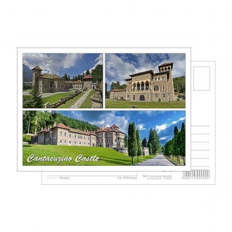Castelul Cantacuzino, Busteni