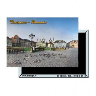 Magnet Timisoara