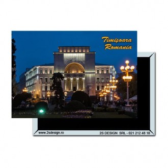 Magnet Timisoara