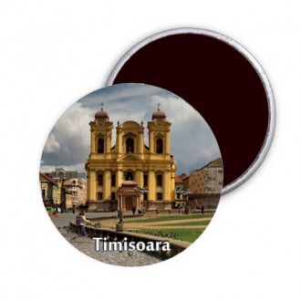 Magnet Timisoara