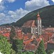 Suport pahare Brasov MCC-12