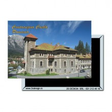 Magnet Castelul Cantacuzino