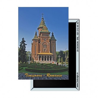 Magnet Timisoara