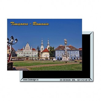 Magnet Timisoara