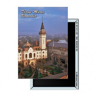 Magnet Targu Mures