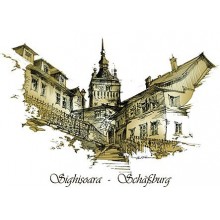 Tricou copii Sighisoara